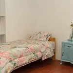 Magic House Experience