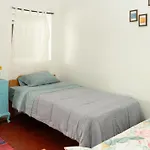 Magic House Experience