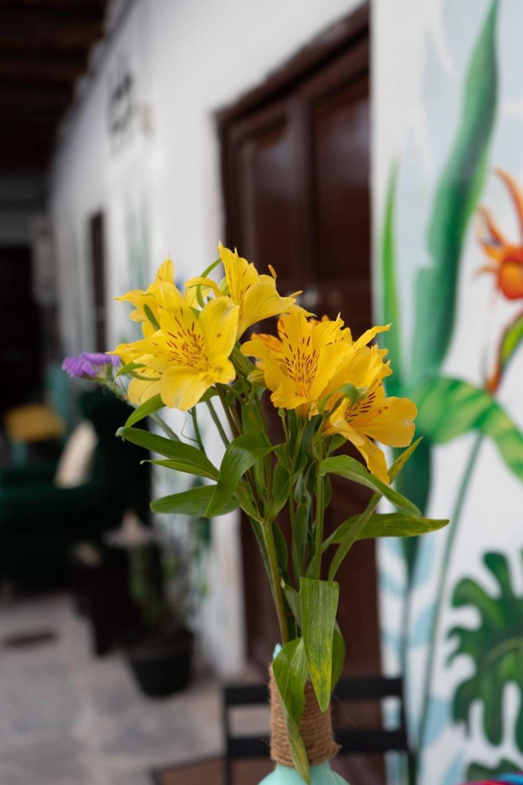 Magic House Experience Hostal